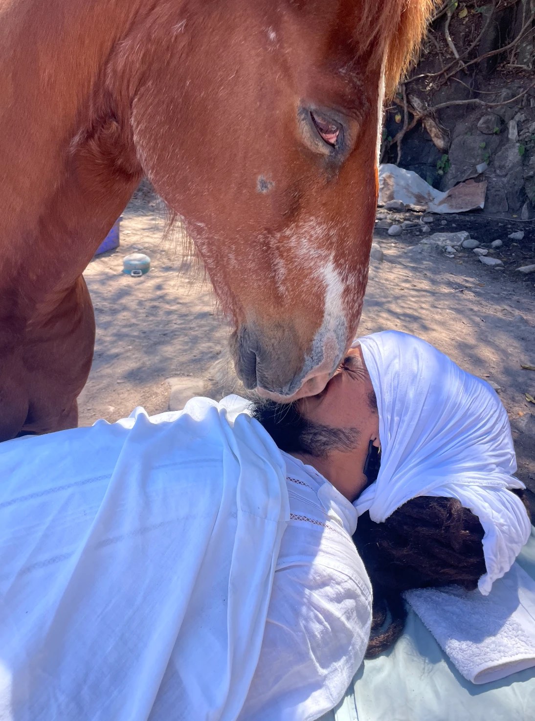 Un caballo alazán acerca el hocico al rostro de una persona recostada en la camilla