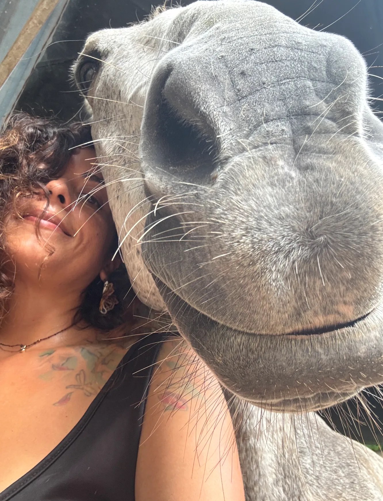Una mujer apoya el rostro contra el hocico de un caballo tordo
