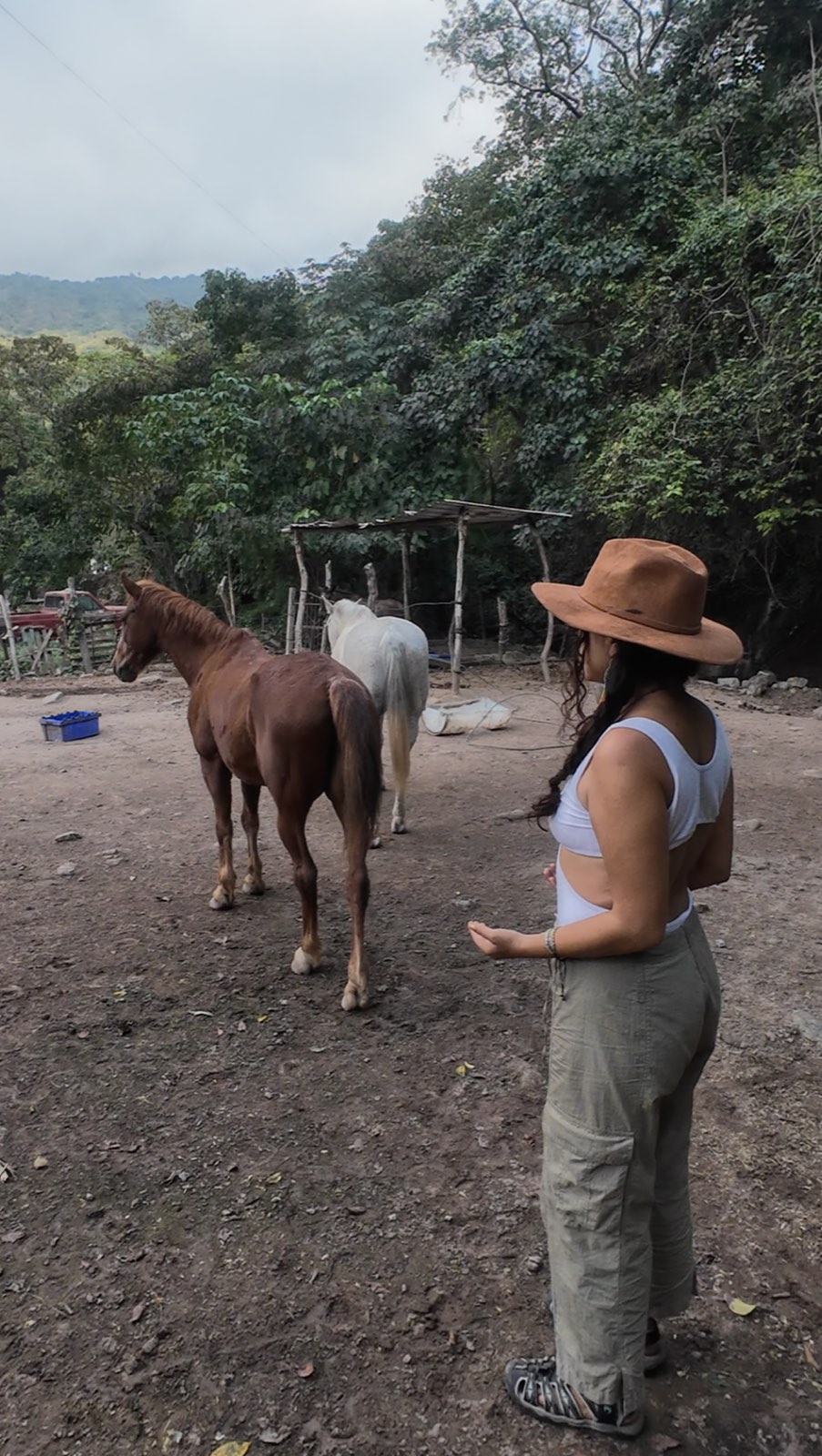 Una mujer con sombrero observa a dos caballos que se alejan por el terreno