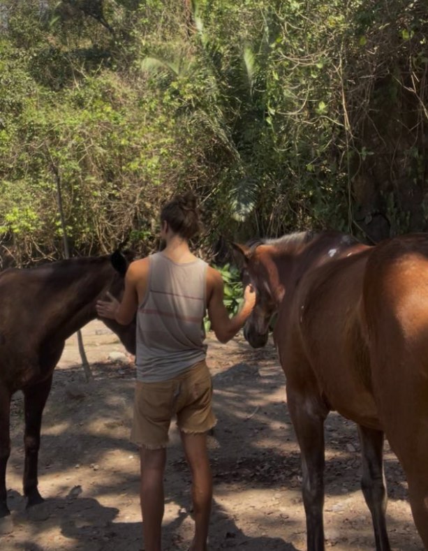 Una persona de espaldas acaricia a dos caballos en el camino del bosque
