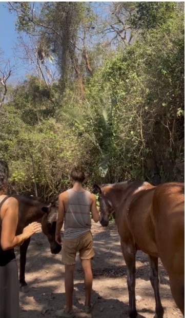 Dos caballos en libertad rodean a las personas en el camino del bosque