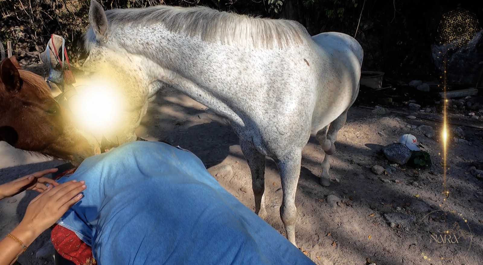 Unas manos apoyadas sobre la espalda de una persona recostada, con los caballos alrededor