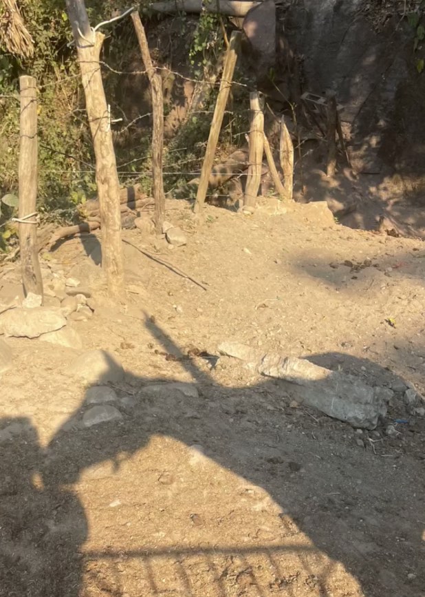 La sombra de un caballo sobre la tierra del terreno, junto al cerco de palos