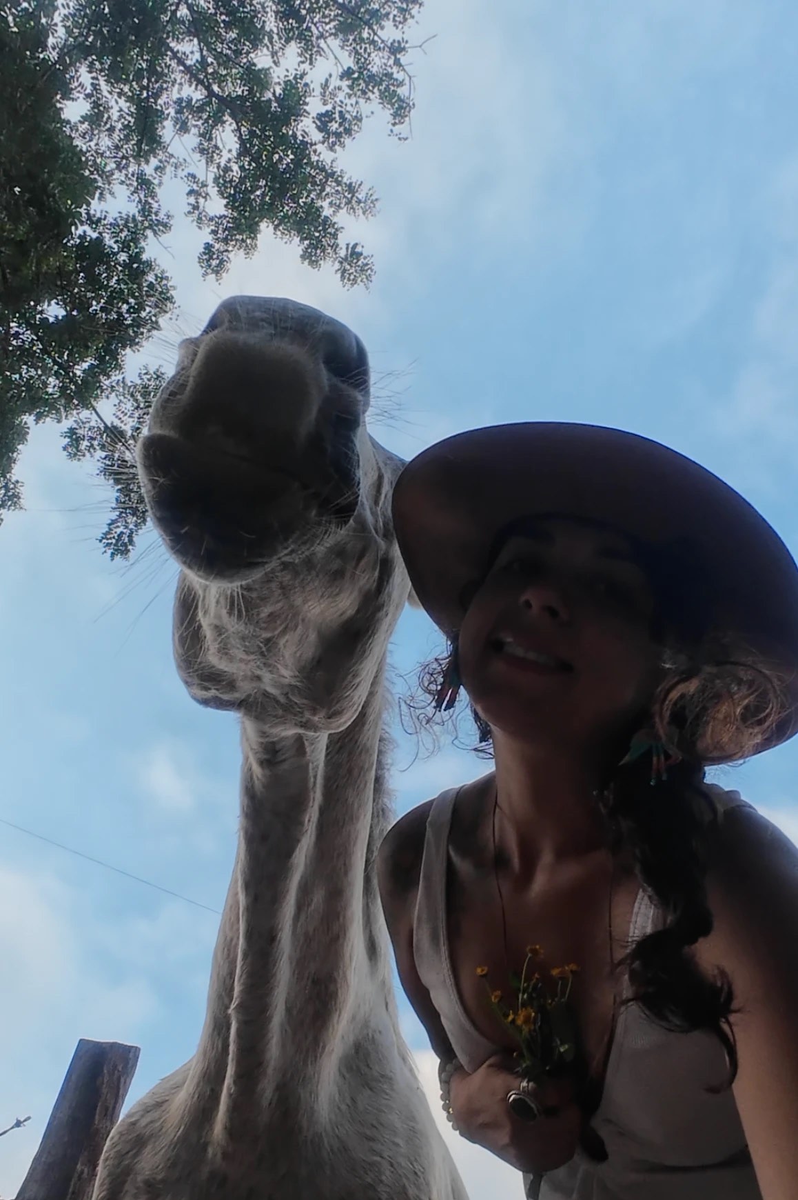 Erika mira hacia arriba junto al hocico de un caballo tordo, contra el cielo