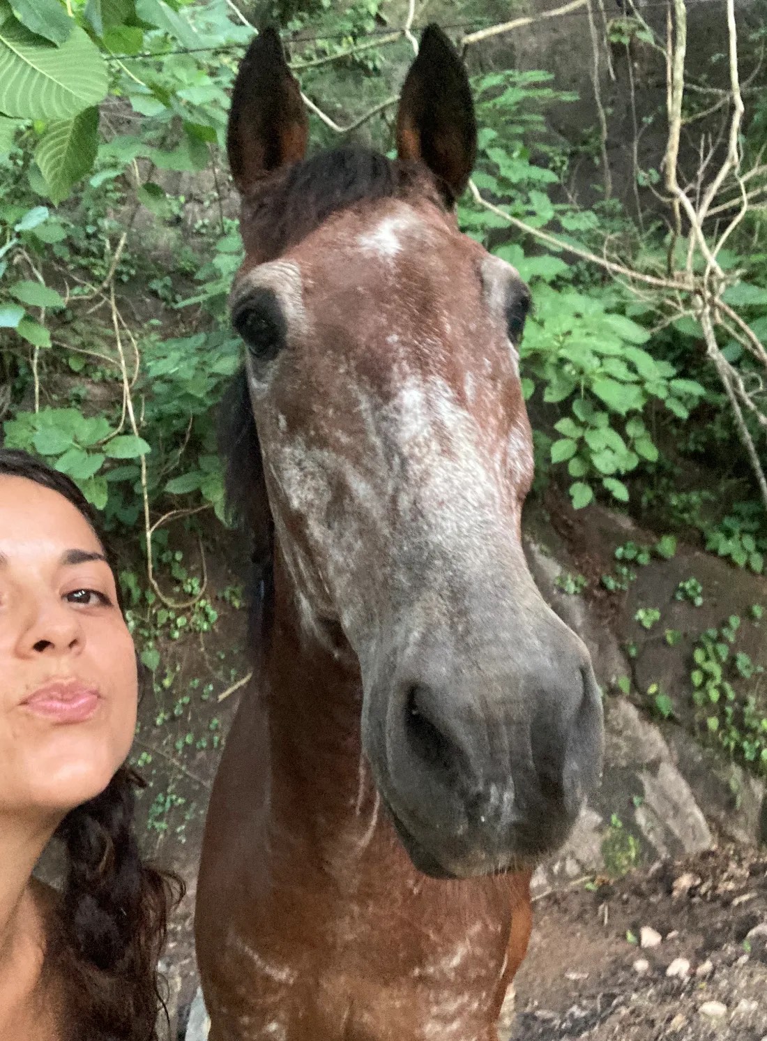 Erika junto a la cara de un caballo alazán, muy cerca de la cámara