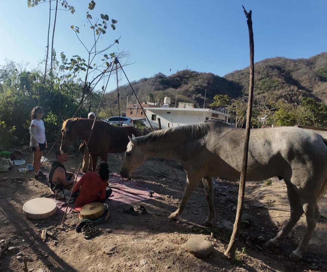 Encuentro comunitario con los caballos cerca del grupo