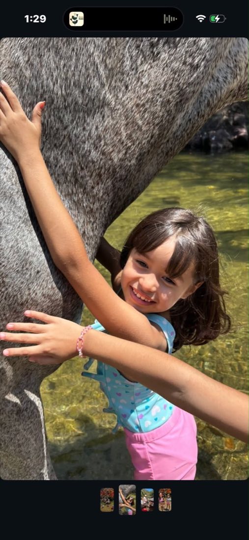 Una mano infantil tocando el belfo de un caballo