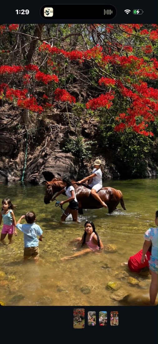 Un grupo de niños escucha junto a un caballo a la sombra de los árboles