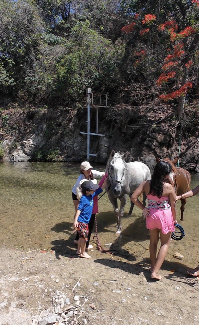 Una niña acompaña a un caballo blanco por el cauce del río