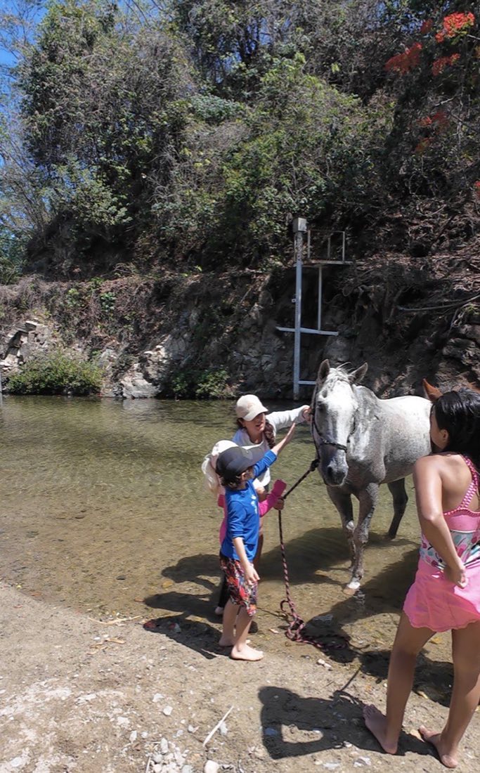 Un caballo blanco y una niña, de pie en el agua