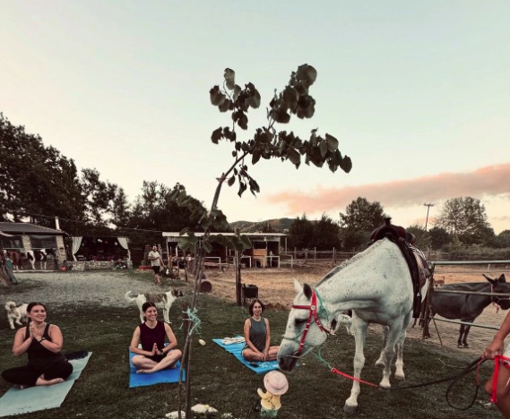 Grupo practicando yoga junto a los caballos a la orilla del río
