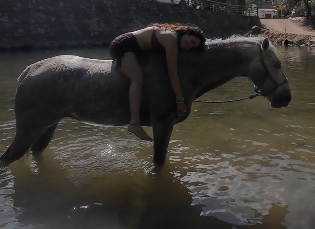 Un caballo oscuro de pie en el río durante la práctica