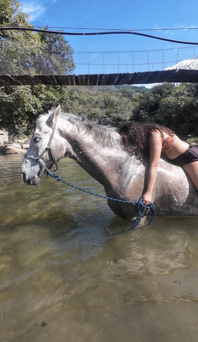 Una mujer junto a un caballo tordo en el cauce del río