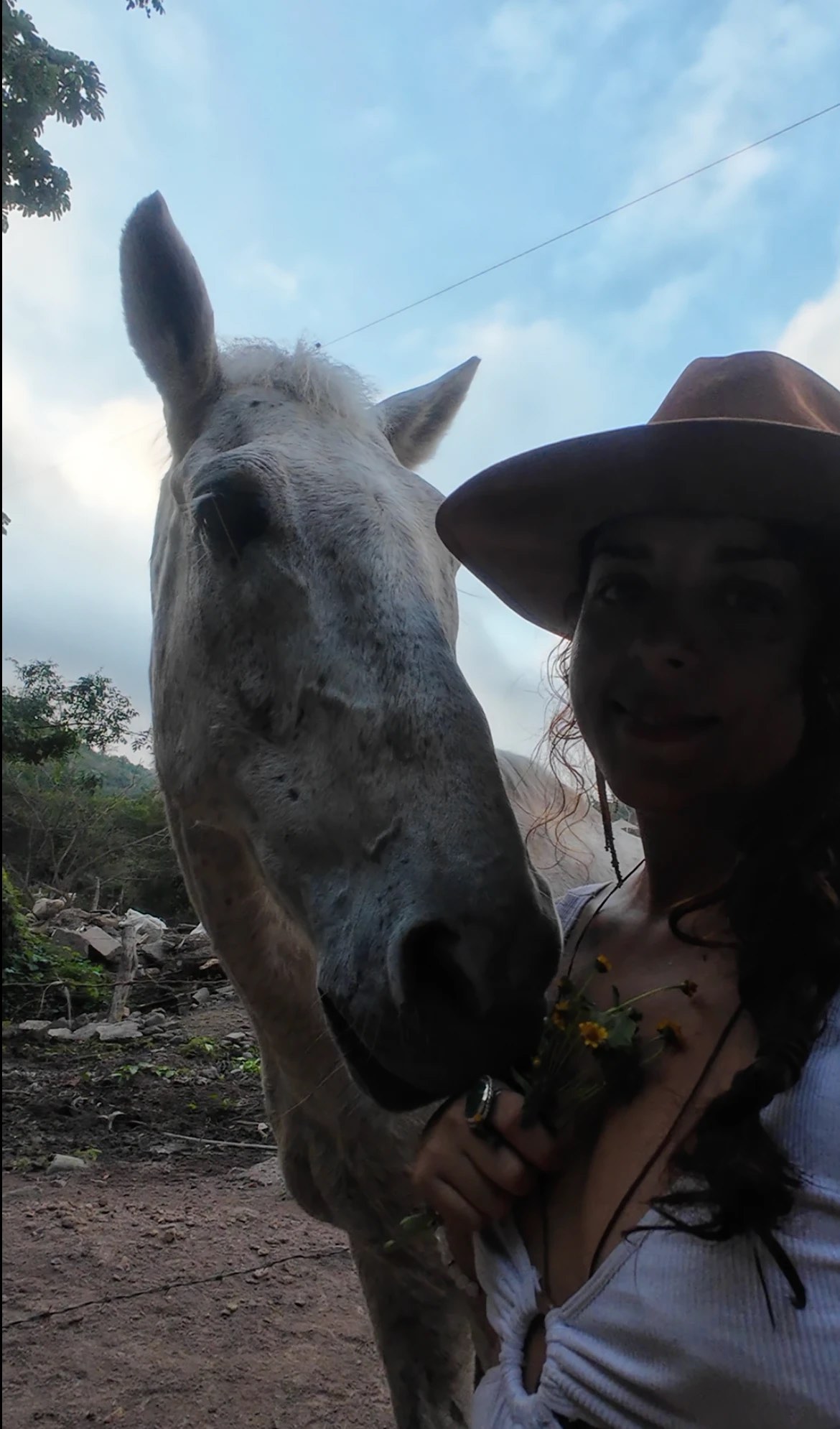 Una mujer con sombrero ofrece un manojo de flores amarillas a un caballo tordo, al atardecer