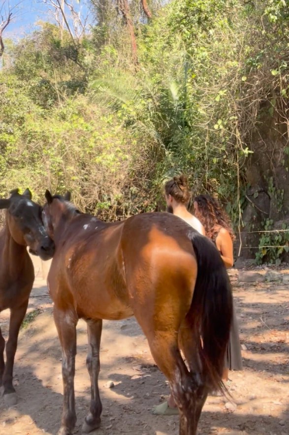 Dos caballos sueltos en el camino mientras dos personas conversan al fondo