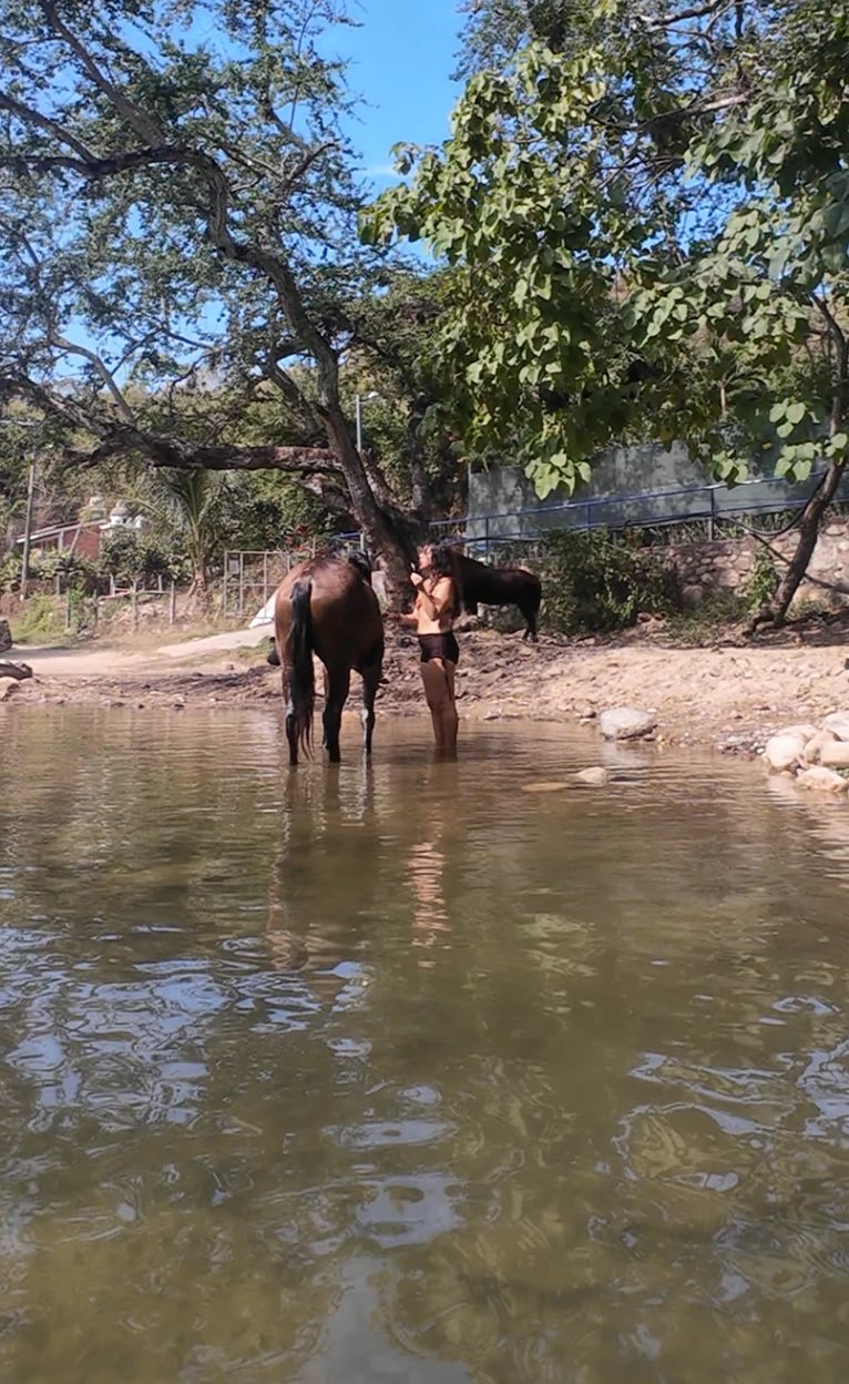 Dos caballos y una mujer dentro del agua del río, al mediodía