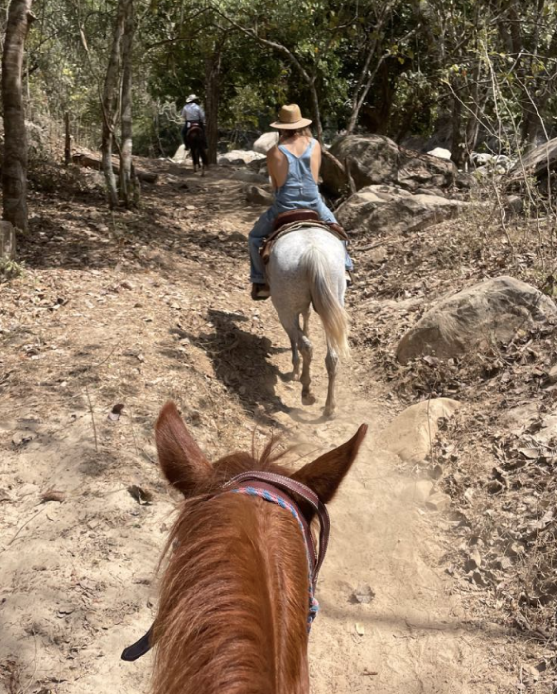 UN PASEO CON LA MANADA SIEMPRE SERA GUARDAR EN TU CORAZON AMOR CABALLOS