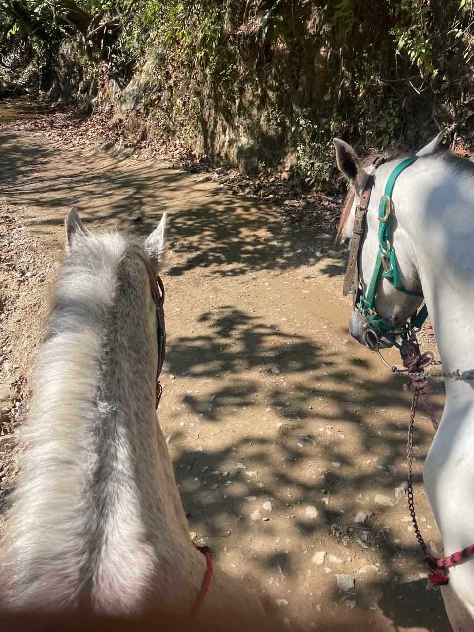 WhatsApp Image 2025-12-18 at 3.40.47 PM