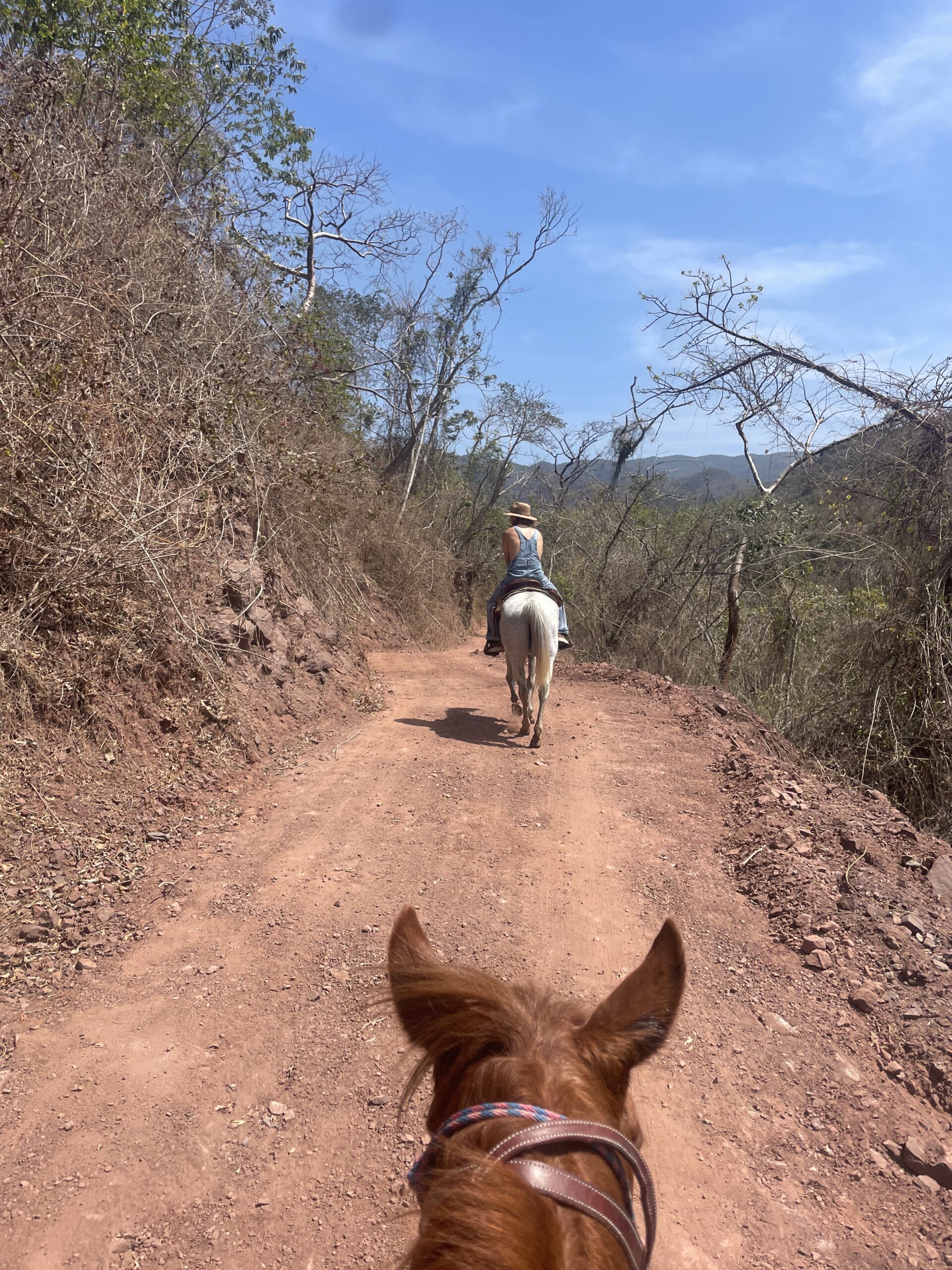 FUERZA DEL CAMINANTE