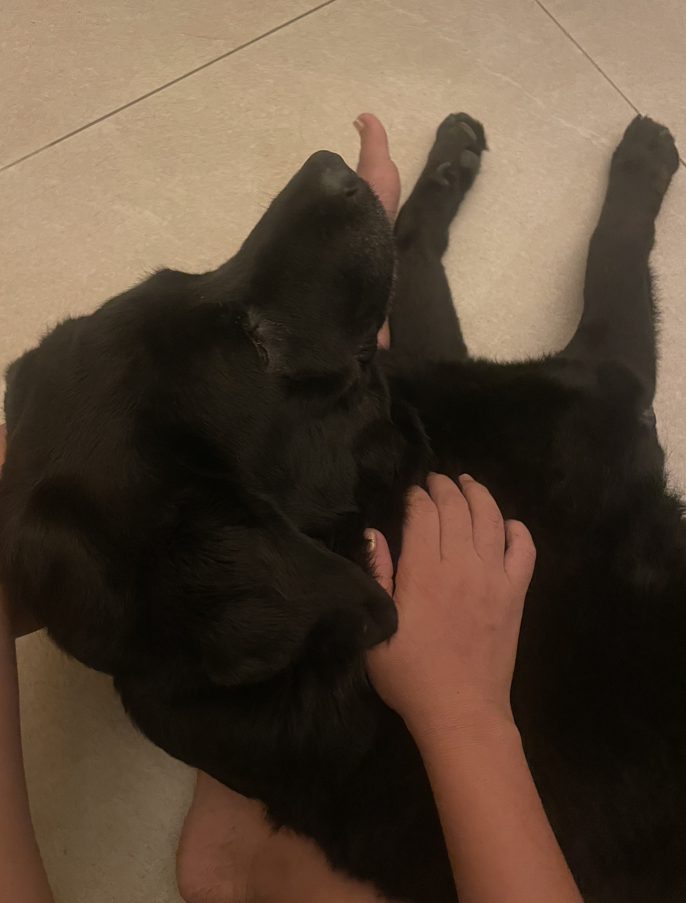 Captura de pantalla 2026-04-10 a la(s) 3.42.37 p.m.