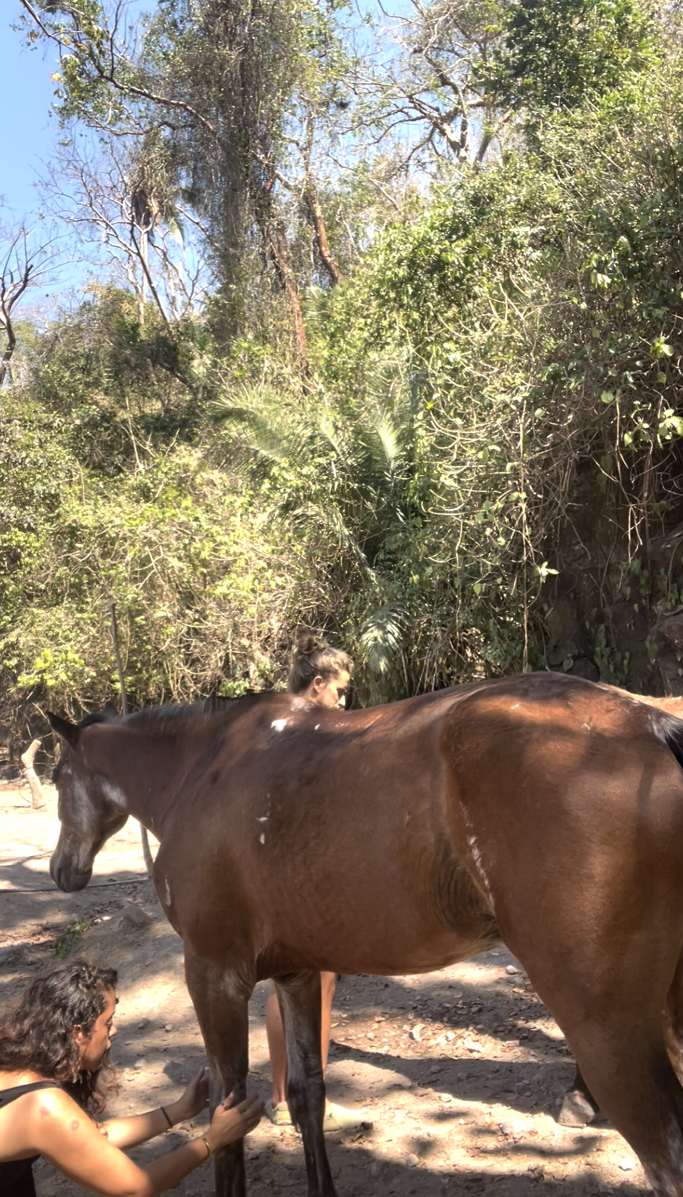 Captura de pantalla 2026-04-15 a la(s) 3.41.35 p.m.